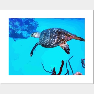 Bimini Scuba Diving Turtle Posters and Art